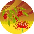 平塚あかり